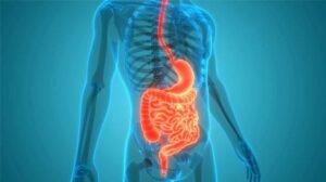digestive health